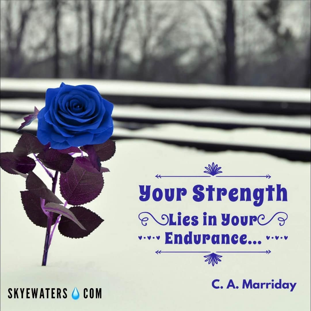 Money Or Your Life..?