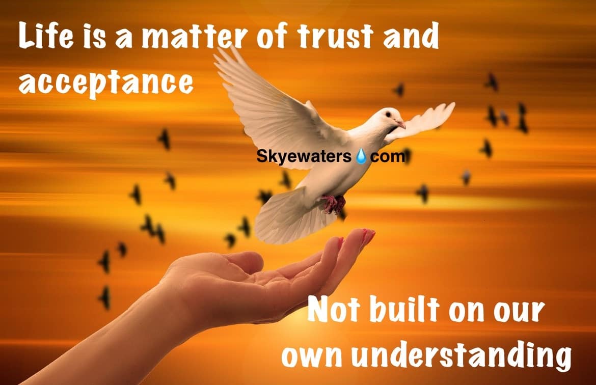 VP shunt obstruction leads to brain surgery #8.