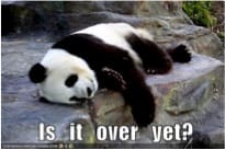 Another Monday morning hangover