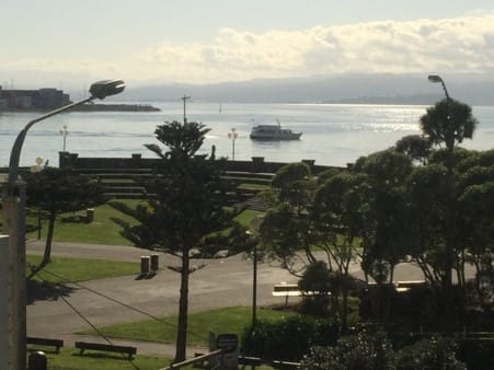 Why is it so hard to find a good Neurosurgeon?