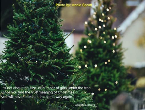 It’s one week to go to Christmas.  Have you found what’s most important to you?