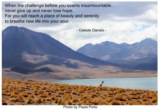 For all the Hydro Moms and Dads