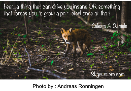 It’s fear that drives me…