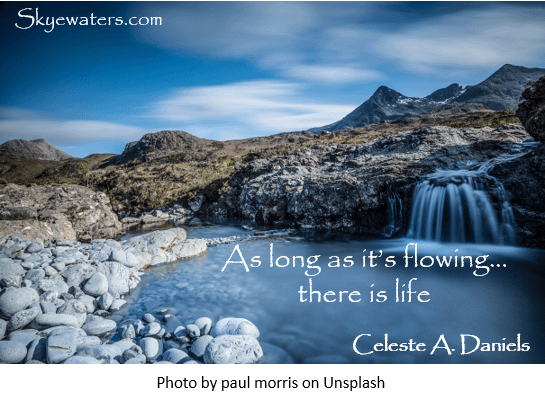 Shunts & shunt malfunctions