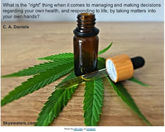 Hydrocephalus: The Cannabidiol (medicinal cannabis) effect…