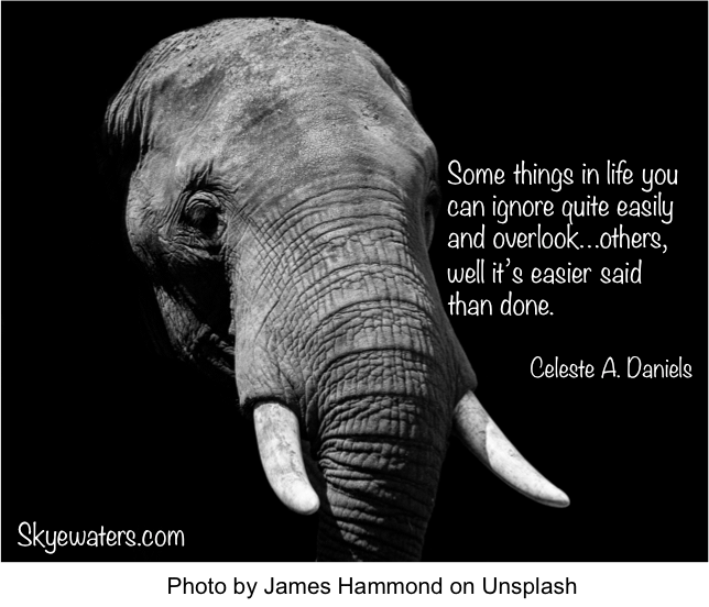 Hydrocephalus the Elephant