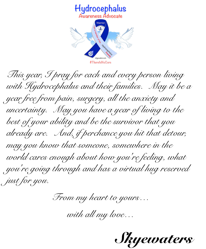 Hydrocephalus : What’s your 2018 going to be like?